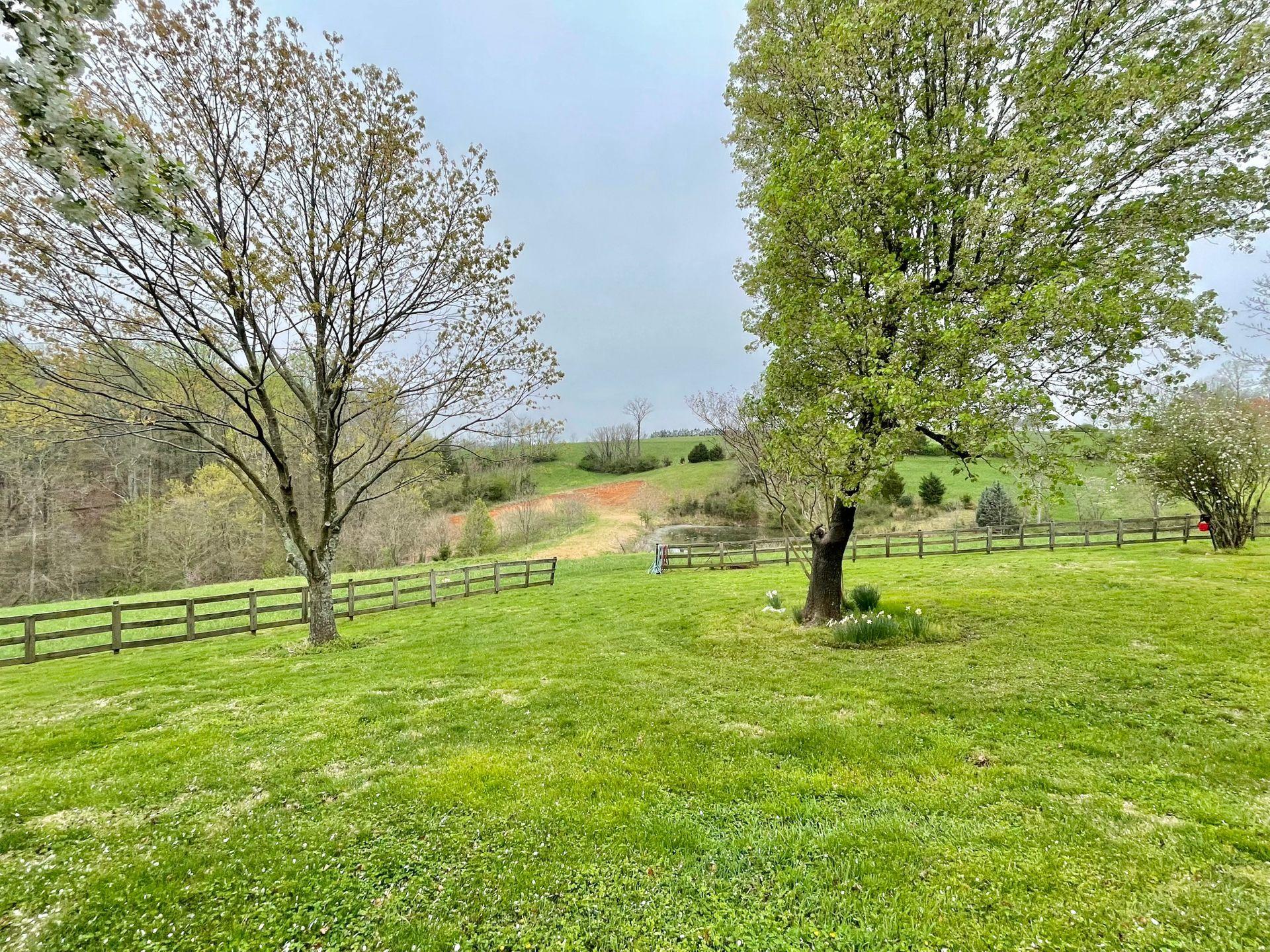 5064 Doe Run Road Rocky Mount, VA 24151 - Photo 110 of 143 Land views