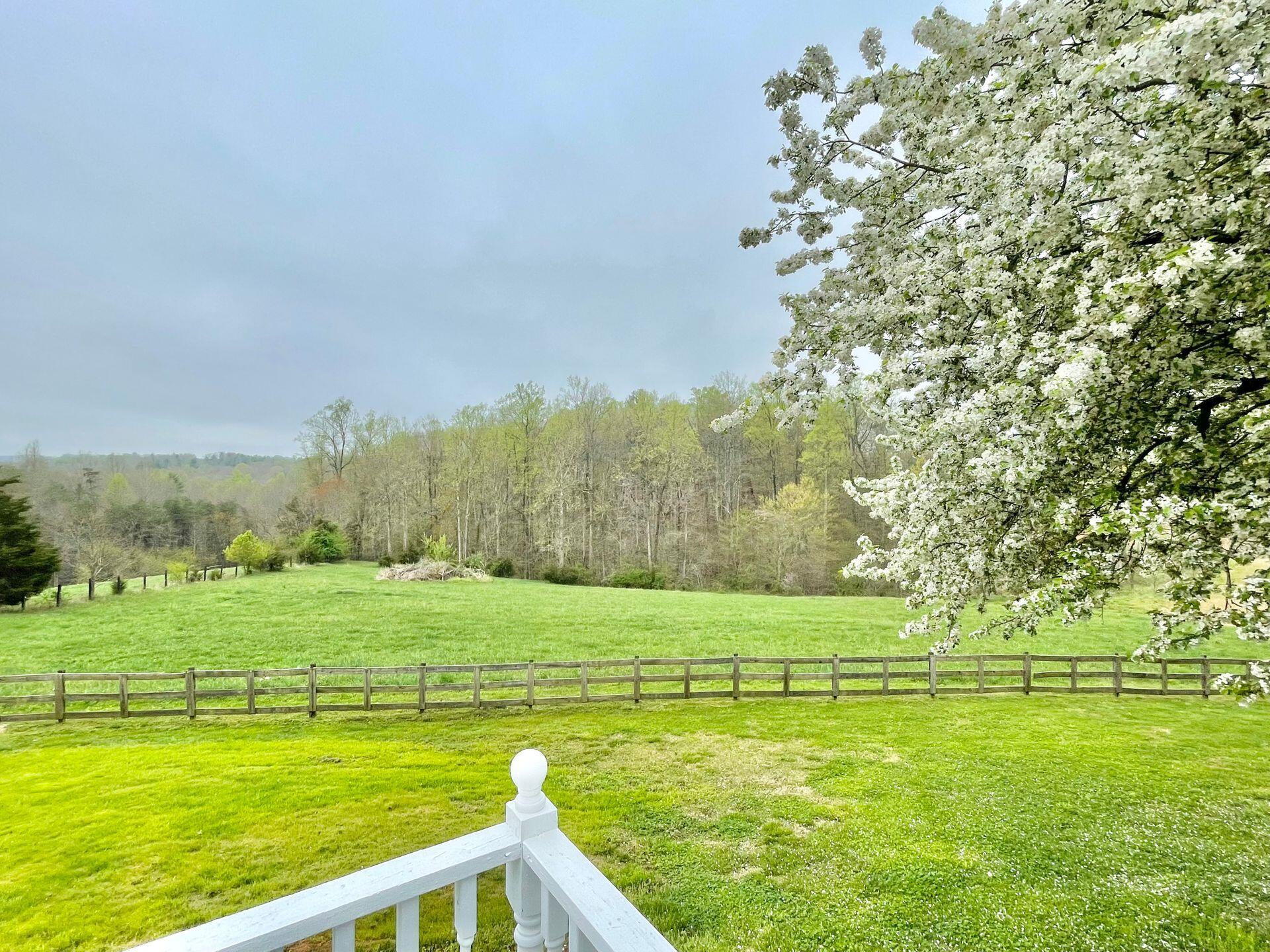 5064 Doe Run Road Rocky Mount, VA 24151 - Photo 90 of 143 Deck views