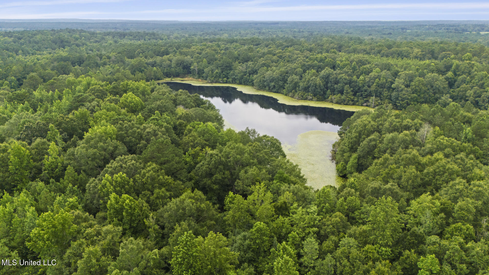 0 Tom Chance Road Poplarville, MS 39470 - Photo 1 of 43 IMG_0066