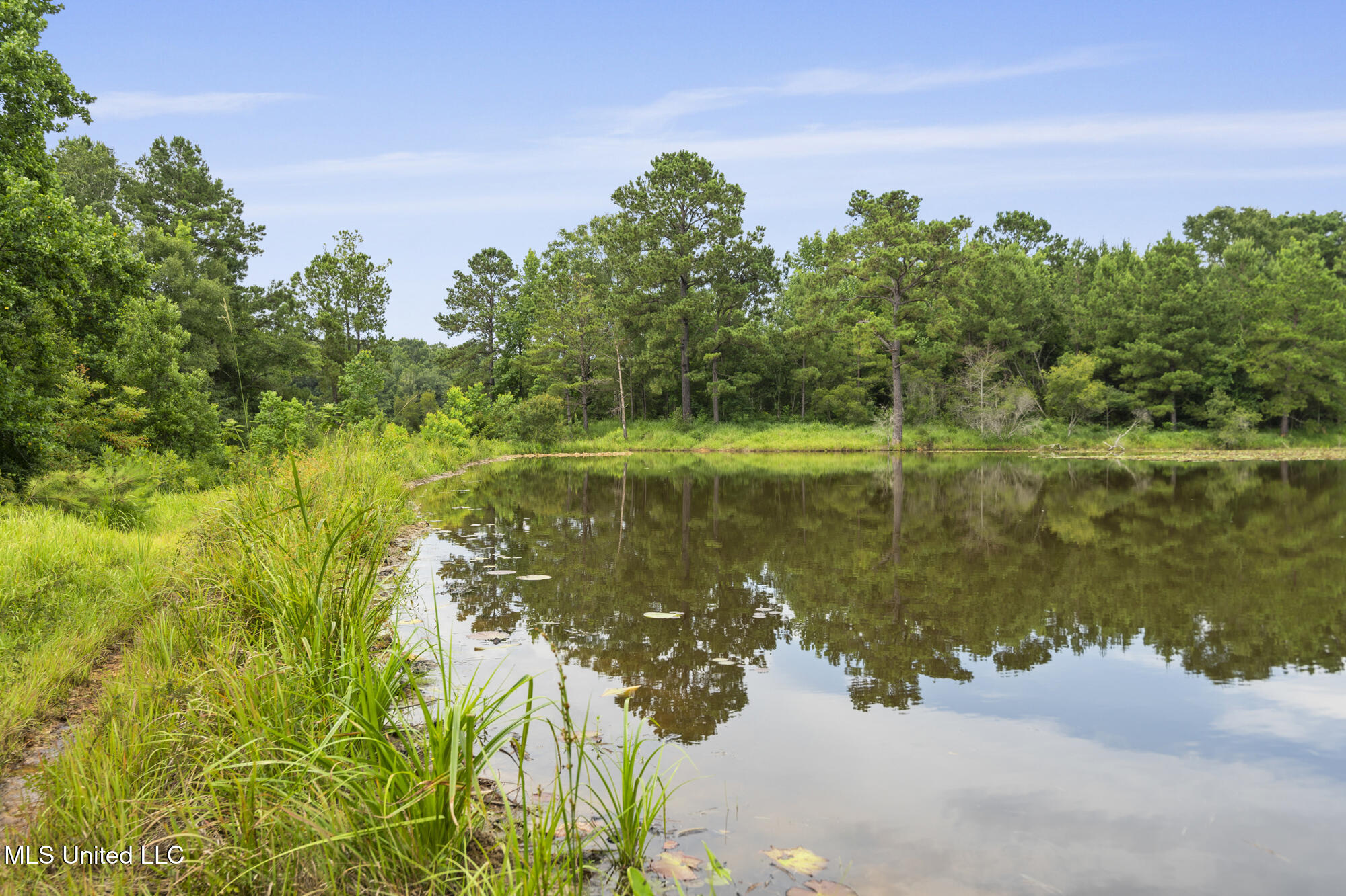 0 Tom Chance Road Poplarville, MS 39470 - Photo 15 of 43 IMG_0054