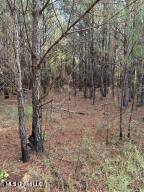 0 Tom Chance Road Poplarville, MS 39470 - Photo 18 of 43 IMG_0086