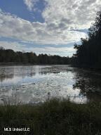 0 Tom Chance Road Poplarville, MS 39470 - Photo 23 of 43 IMG_0080