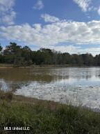 0 Tom Chance Road Poplarville, MS 39470 - Photo 24 of 43 IMG_0079