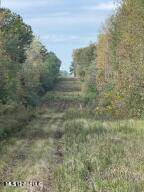 0 Tom Chance Road Poplarville, MS 39470 - Photo 26 of 43 IMG_0084