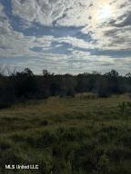 0 Tom Chance Road Poplarville, MS 39470 - Photo 29 of 43 IMG_0089