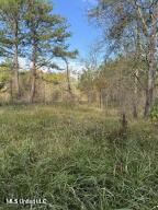 0 Tom Chance Road Poplarville, MS 39470 - Photo 34 of 43 IMG_0094