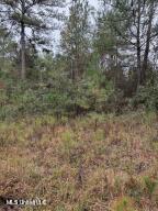 0 Tom Chance Road Poplarville, MS 39470 - Photo 40 of 43 IMG_0074