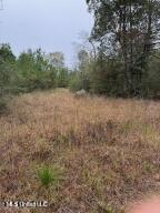 0 Tom Chance Road Poplarville, MS 39470 - Photo 41 of 43 IMG_0073