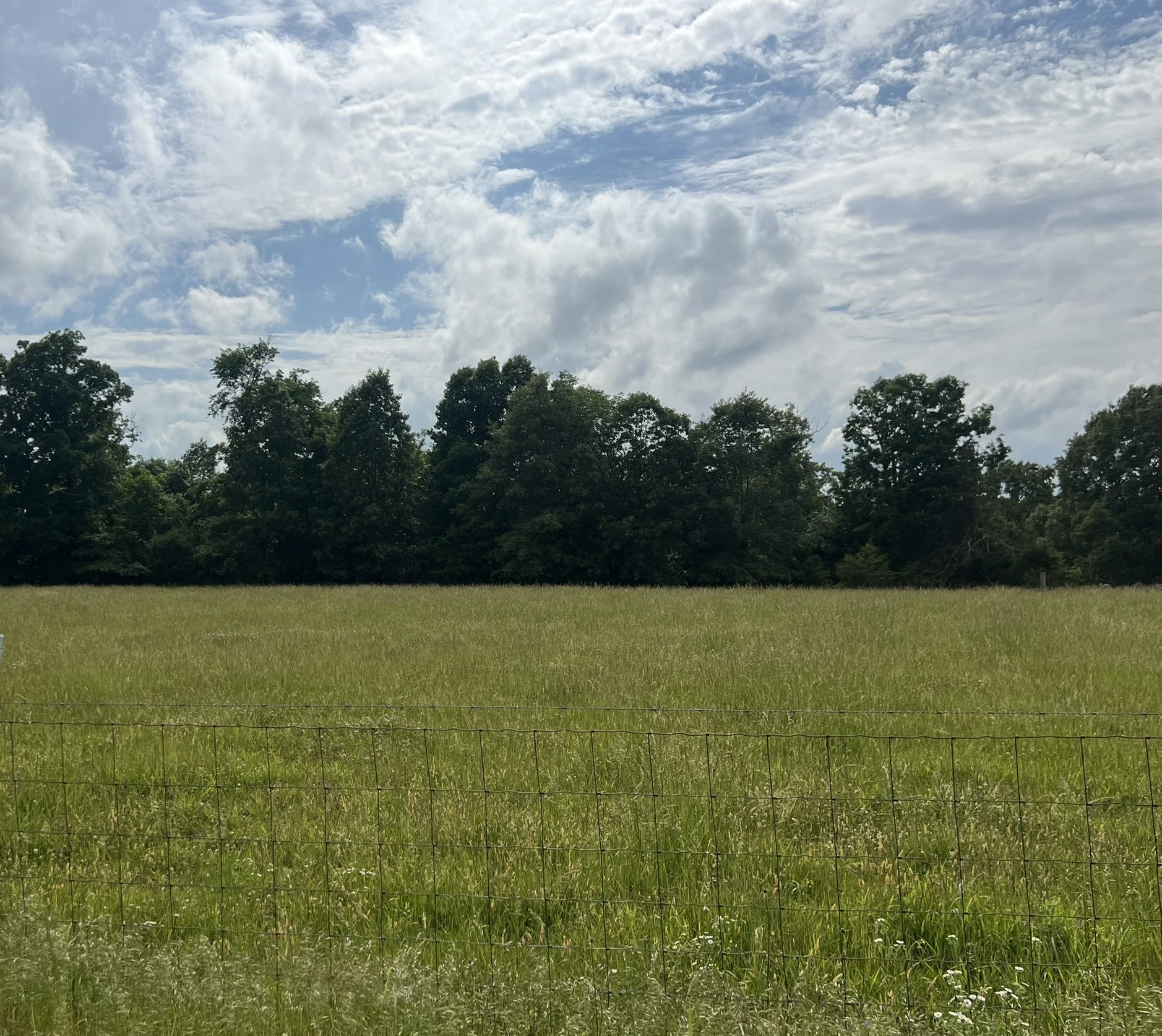 0 Bosham Road Westmoreland, TN 37186 - Photo 6 of 6