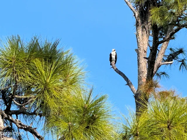 $210,000 | 5224 Kingston Circle, Panama City, FL 32408