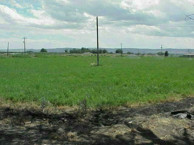 2910 Midvale Road Mabton, WA 98935 - Photo 2 of 5 a backyard of a house with lots of green space