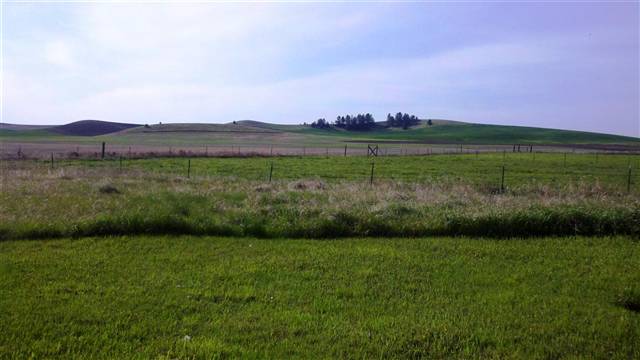 17127 South Cardinal Road Cheney, WA 99004 - Photo 3 of 7