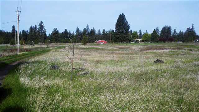 17127 South Cardinal Road Cheney, WA 99004 - Photo 7 of 7
