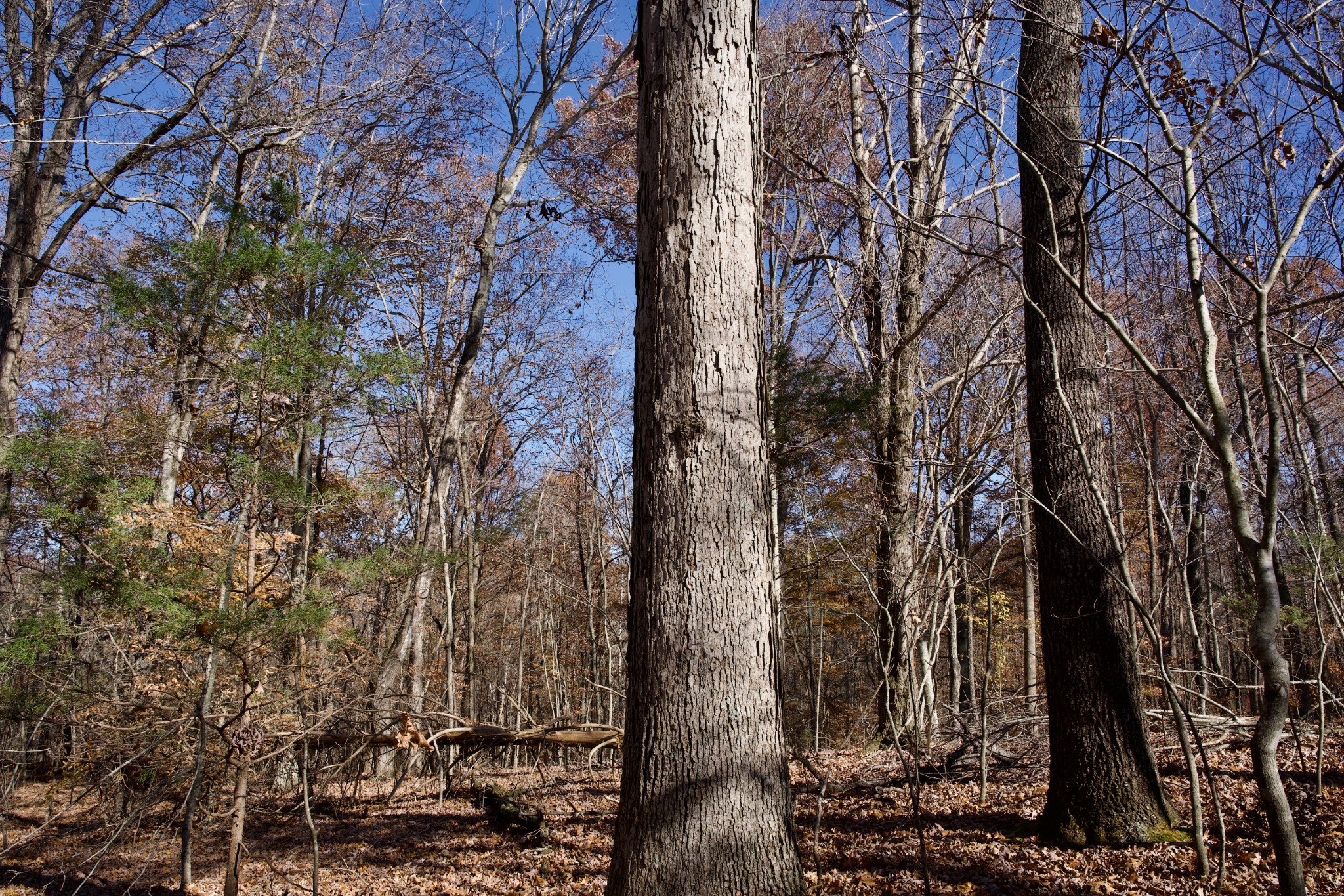 7 West Of Barlow Road Rock Island, TN 38581 - Photo 11 of 46