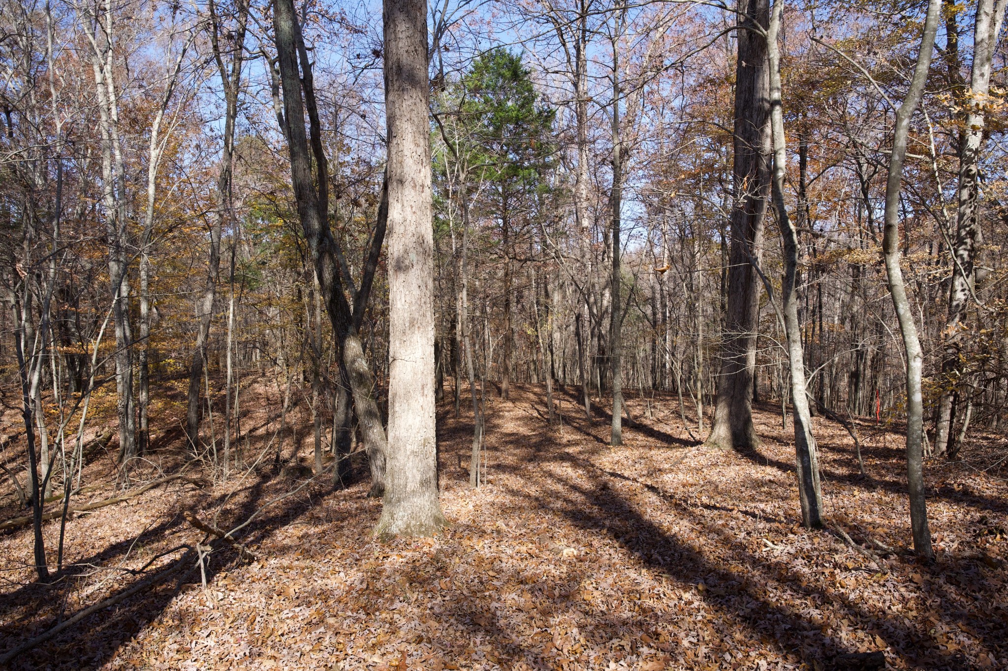 7 West Of Barlow Road Rock Island, TN 38581 - Photo 12 of 46