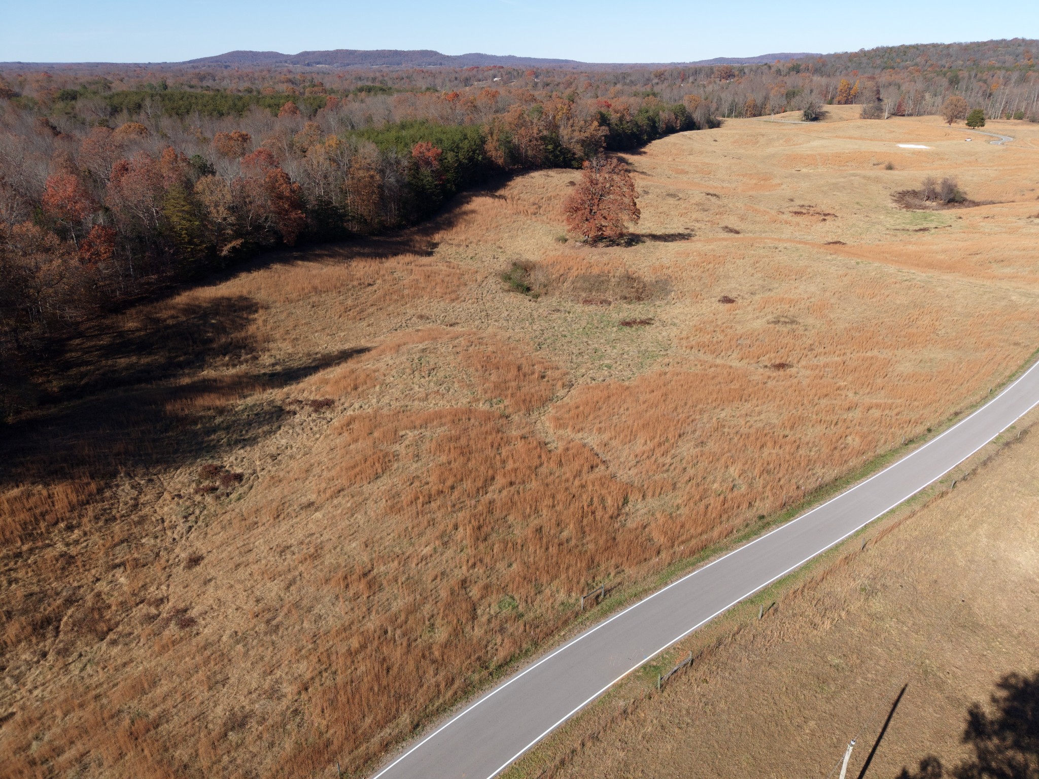 7 West Of Barlow Road Rock Island, TN 38581 - Photo 19 of 46 a view of a dry yard with mountain and trees in the background
