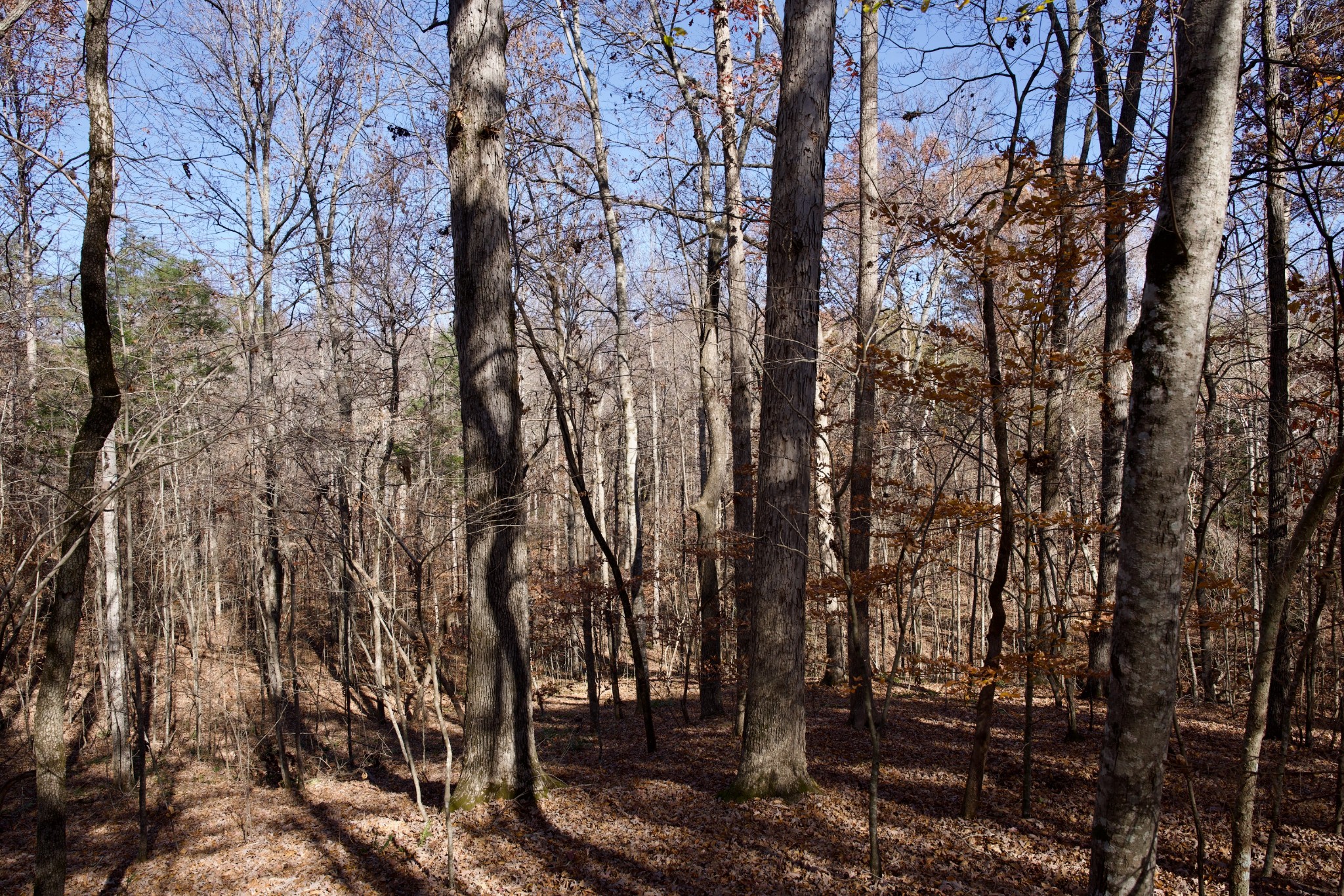 7 West Of Barlow Road Rock Island, TN 38581 - Photo 22 of 46