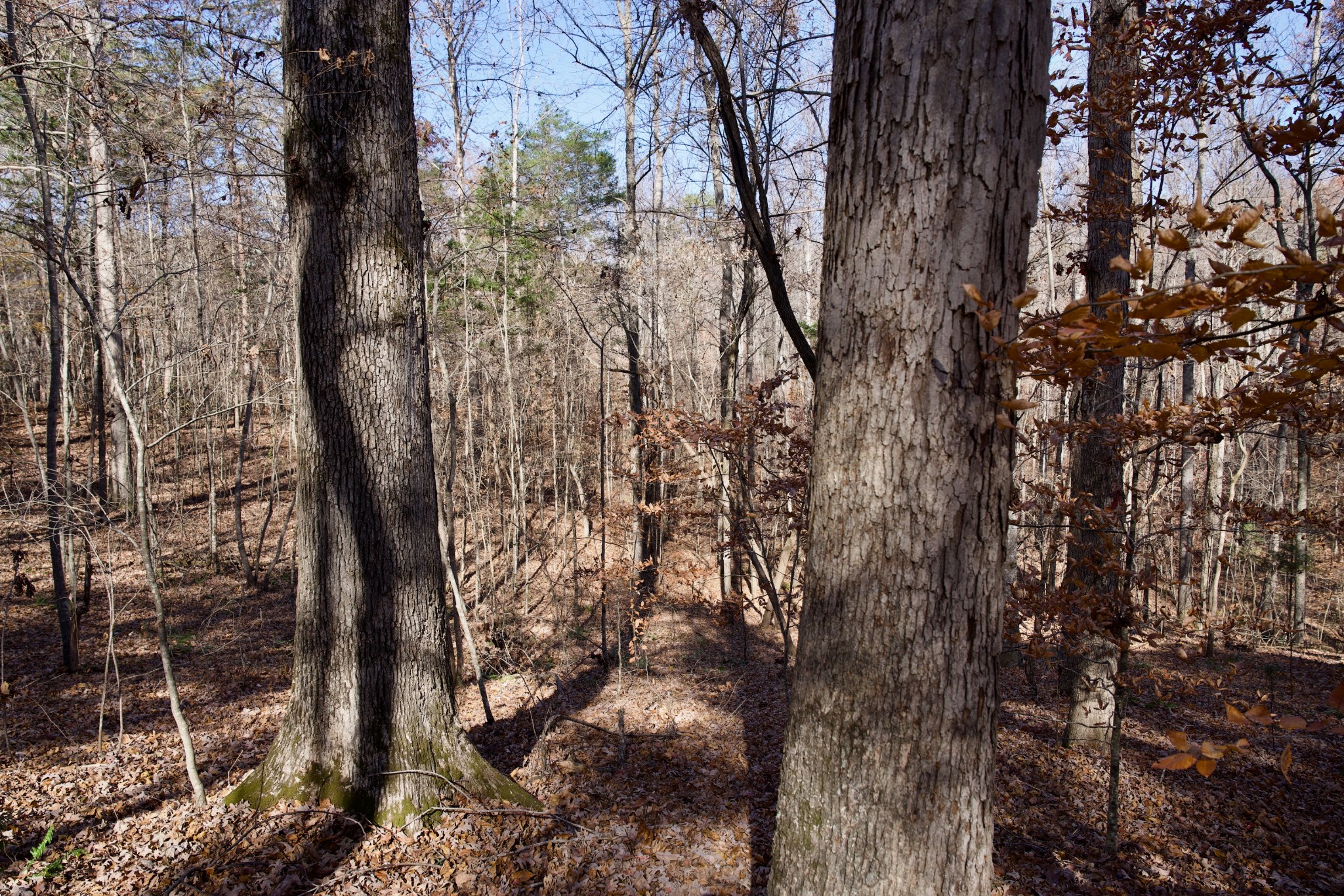 7 West Of Barlow Road Rock Island, TN 38581 - Photo 25 of 46