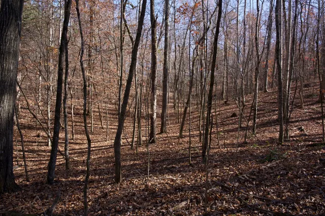 $199,500 | 7 West Of Barlow Road, Rock Island, TN 38581