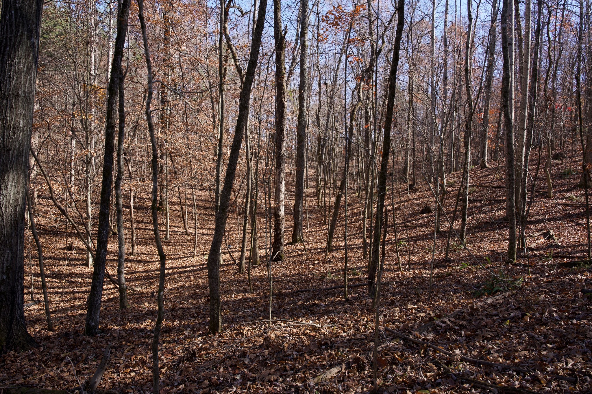 7 West Of Barlow Road Rock Island, TN 38581 - Photo 31 of 46