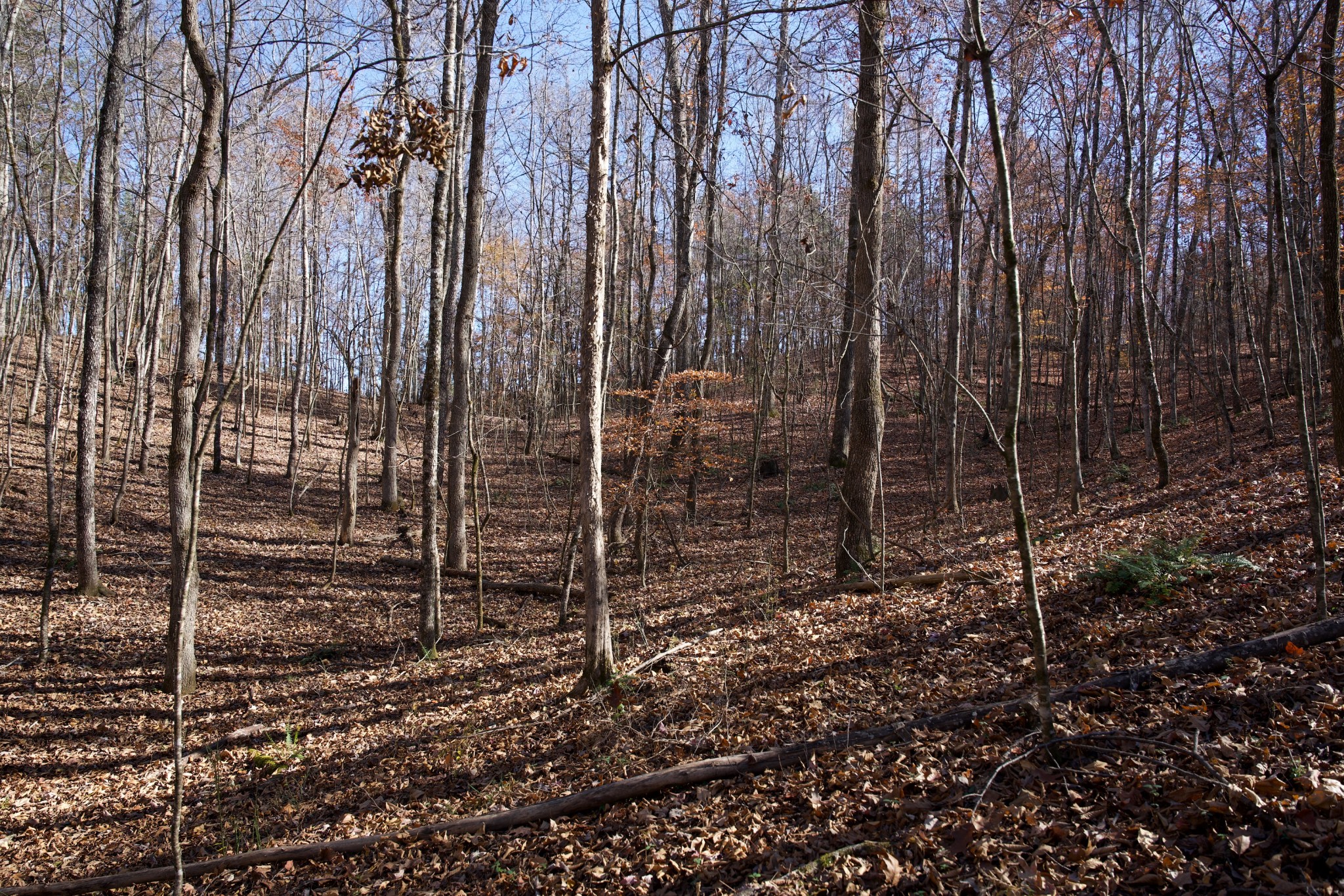 7 West Of Barlow Road Rock Island, TN 38581 - Photo 32 of 46