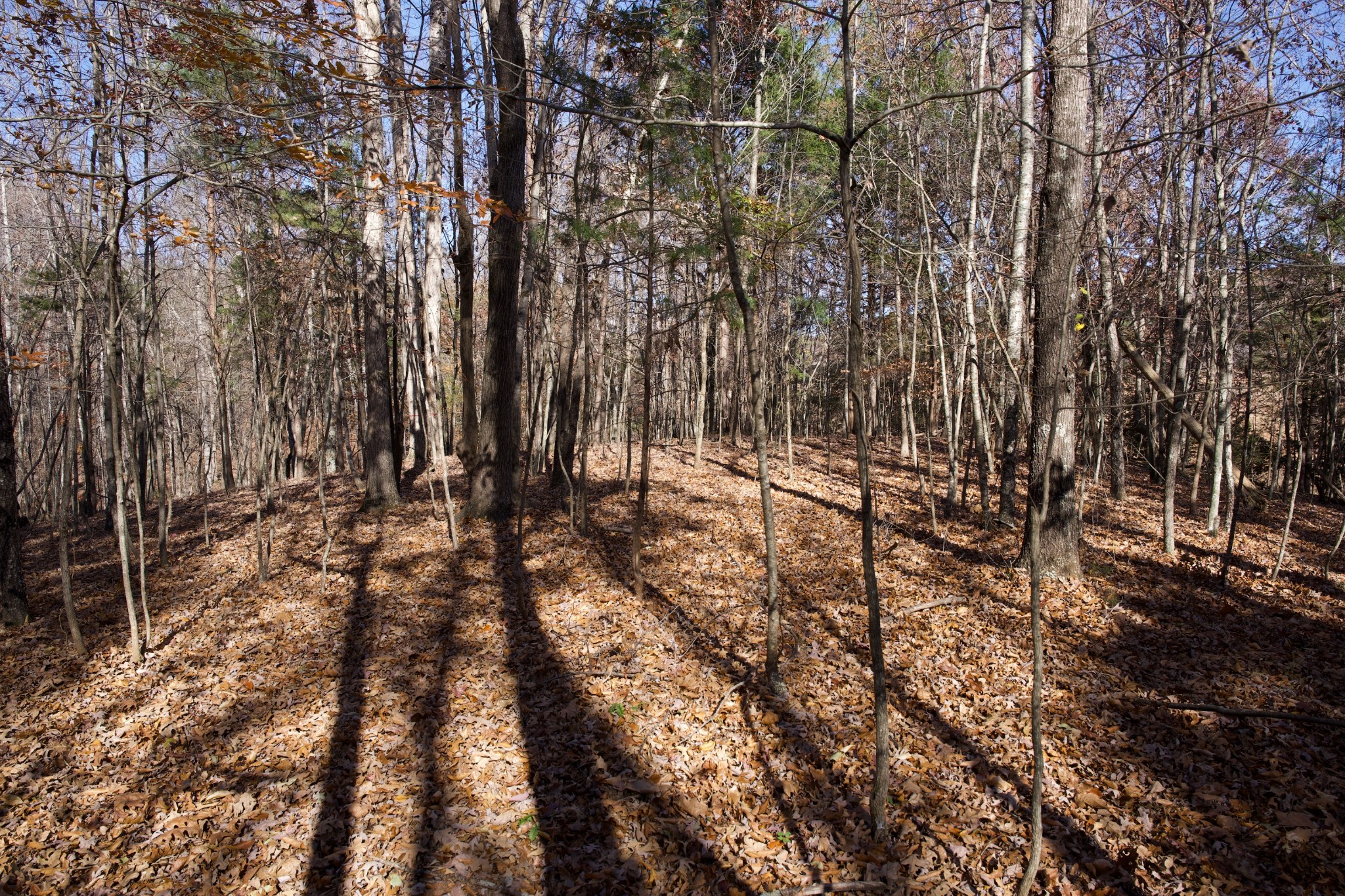 7 West Of Barlow Road Rock Island, TN 38581 - Photo 35 of 46 a view of yard