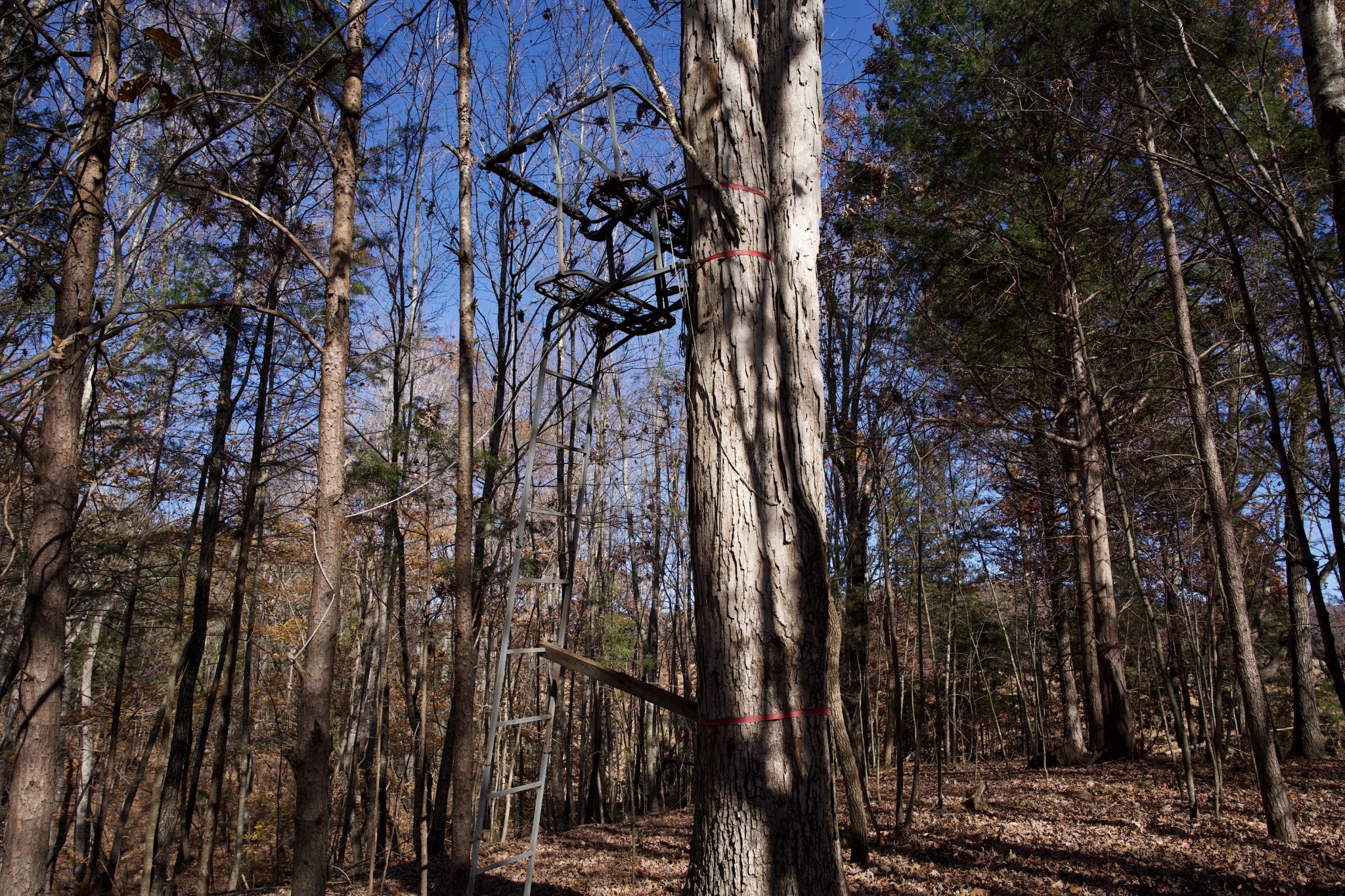 7 West Of Barlow Road Rock Island, TN 38581 - Photo 36 of 46