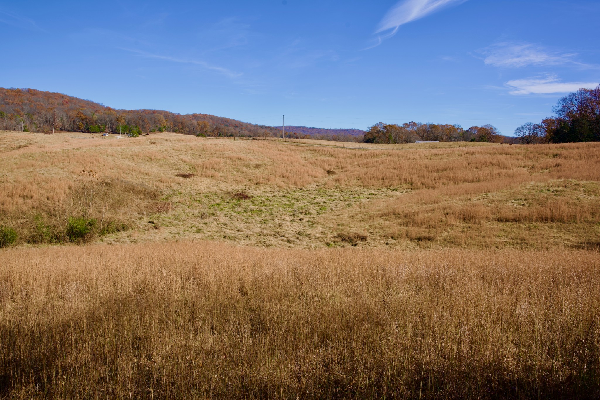 7 West Of Barlow Road Rock Island, TN 38581 - Photo 4 of 46 a view of ocean view
