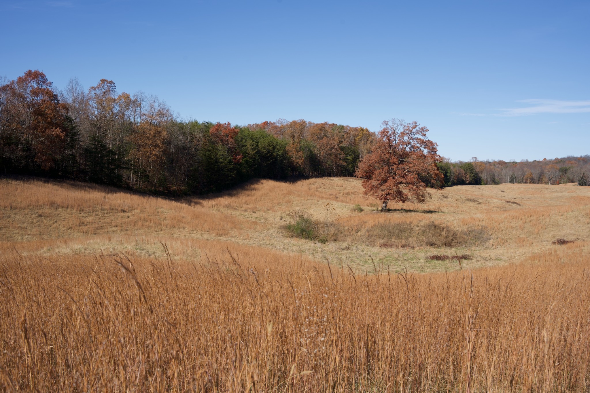 7 West Of Barlow Road Rock Island, TN 38581 - Photo 42 of 46 a view of ocean view with beach