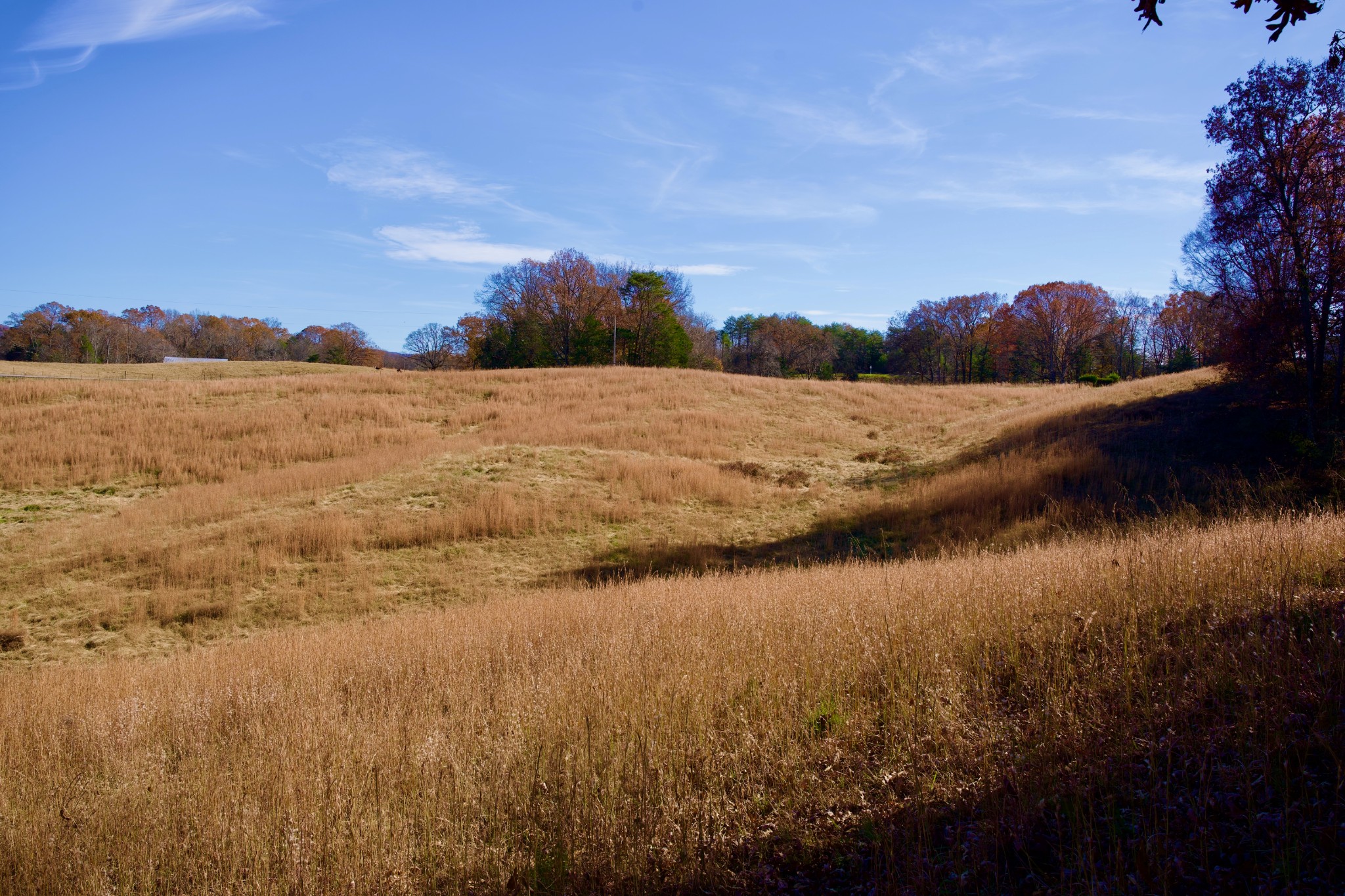7 West Of Barlow Road Rock Island, TN 38581 - Photo 43 of 46