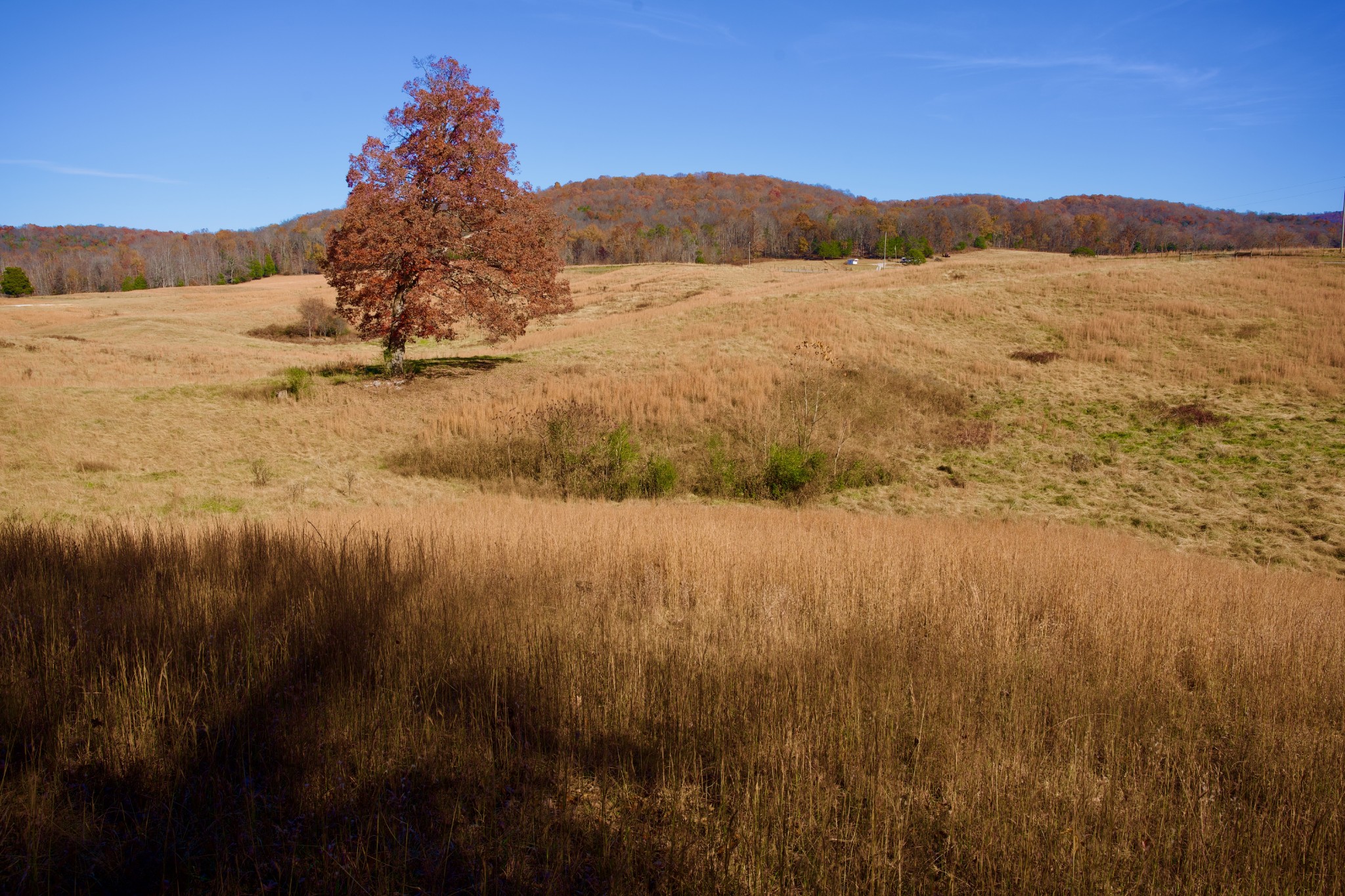 7 West Of Barlow Road Rock Island, TN 38581 - Photo 44 of 46 a view of lake view and mountain