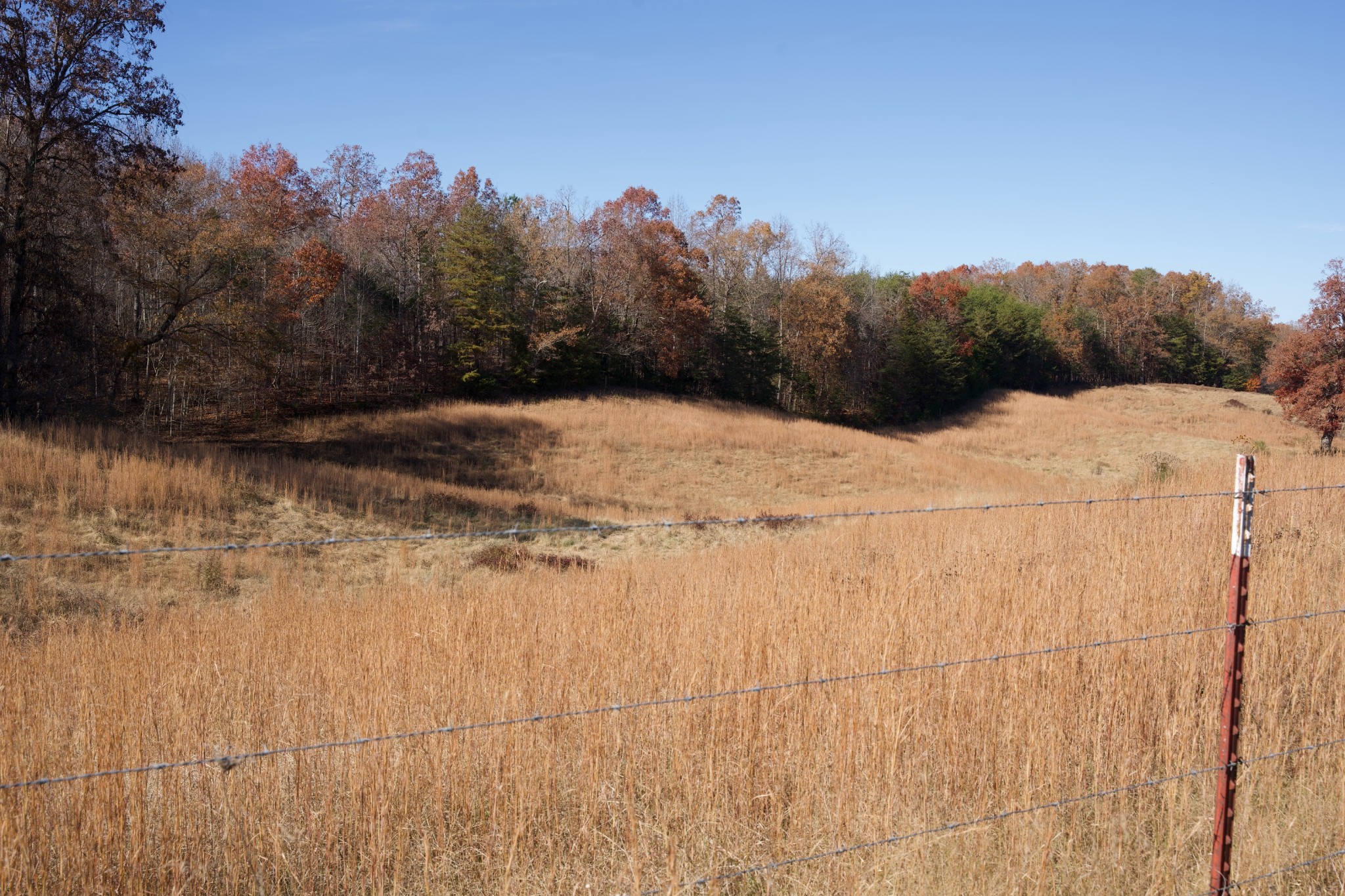 7 West Of Barlow Road Rock Island, TN 38581 - Photo 5 of 46 a view of a backyard of the house