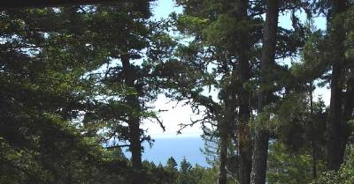 310 Spinnaker Close The Sea Ranch The Sea Ranch, CA 95497 - Photo 6 of 8