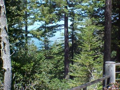 310 Spinnaker Close The Sea Ranch The Sea Ranch, CA 95497 - Photo 7 of 8