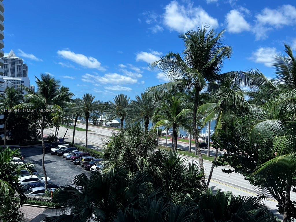 5161 Collins Avenue, Unit 505 Miami Beach, FL 33140 - Photo 13 of 31 a view of a yard with palm trees