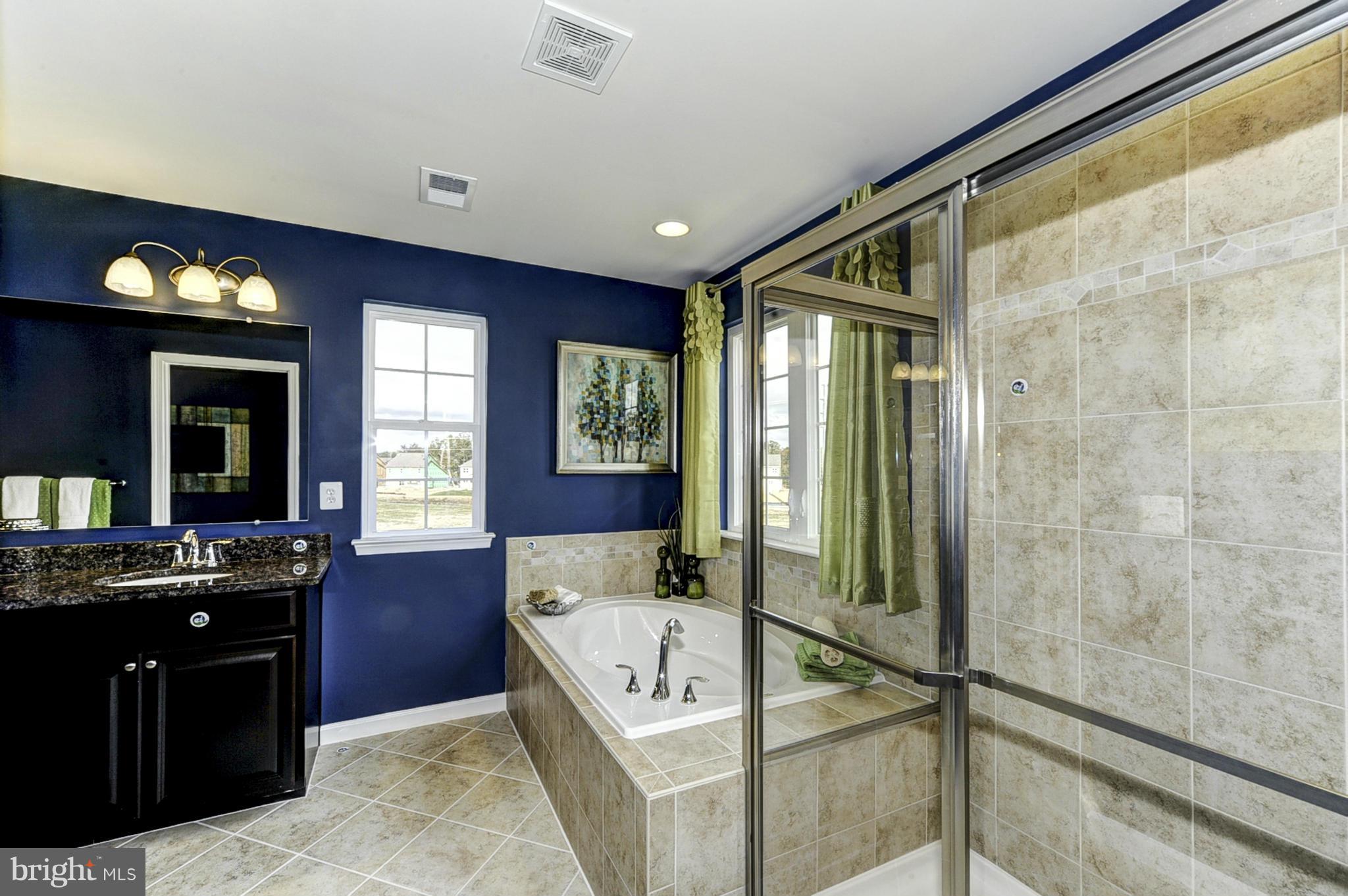 1005 Red Clover Road Gambrills, MD 21054 - Photo 19 of 30 Bath (Master)
