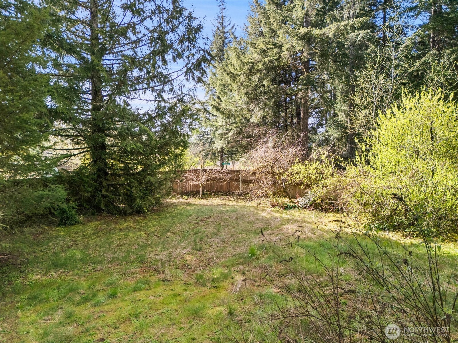 1400 East Rasor Road Belfair, WA 98528 - Photo 14 of 18 Gallery Image 14