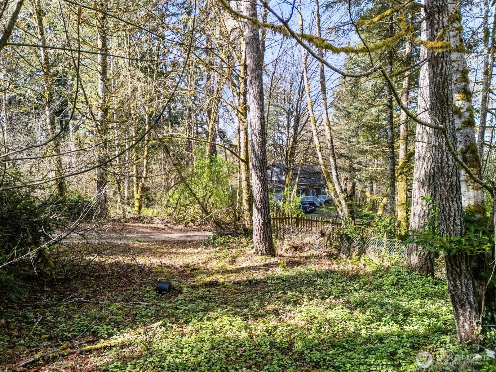1400 East Rasor Road Belfair, WA 98528 - Photo 15 of 18 Gallery Image 15