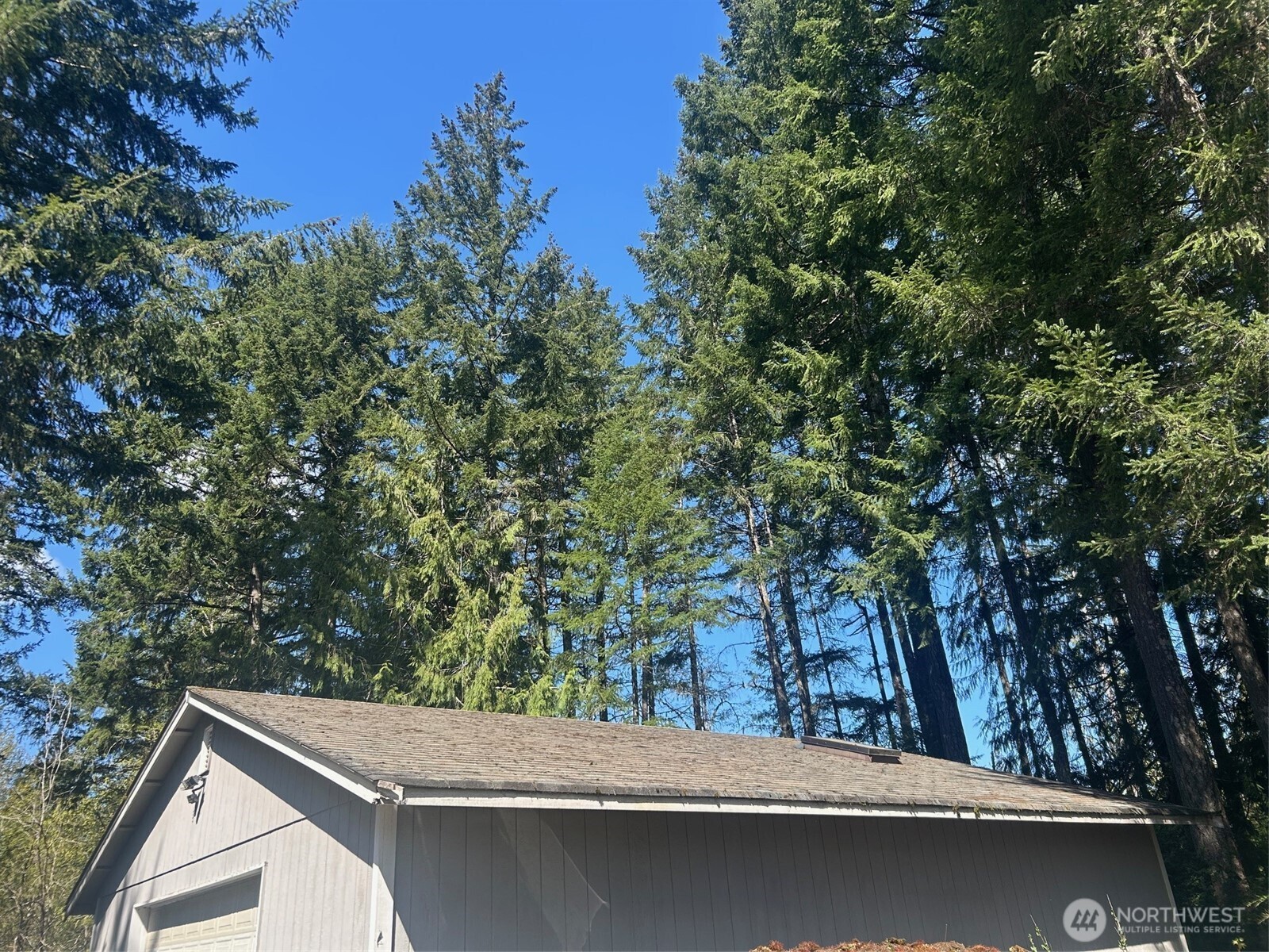 1400 East Rasor Road Belfair, WA 98528 - Photo 3 of 18 Gallery Image 3