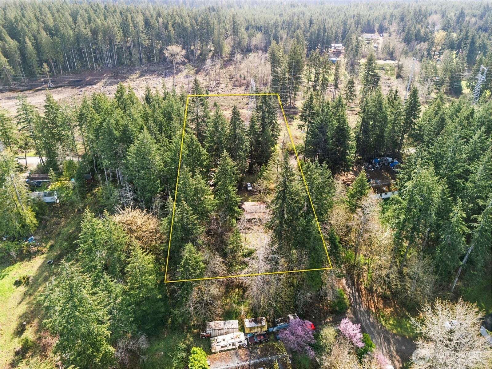 1400 East Rasor Road Belfair, WA 98528 - Photo 6 of 18 Gallery Image 6