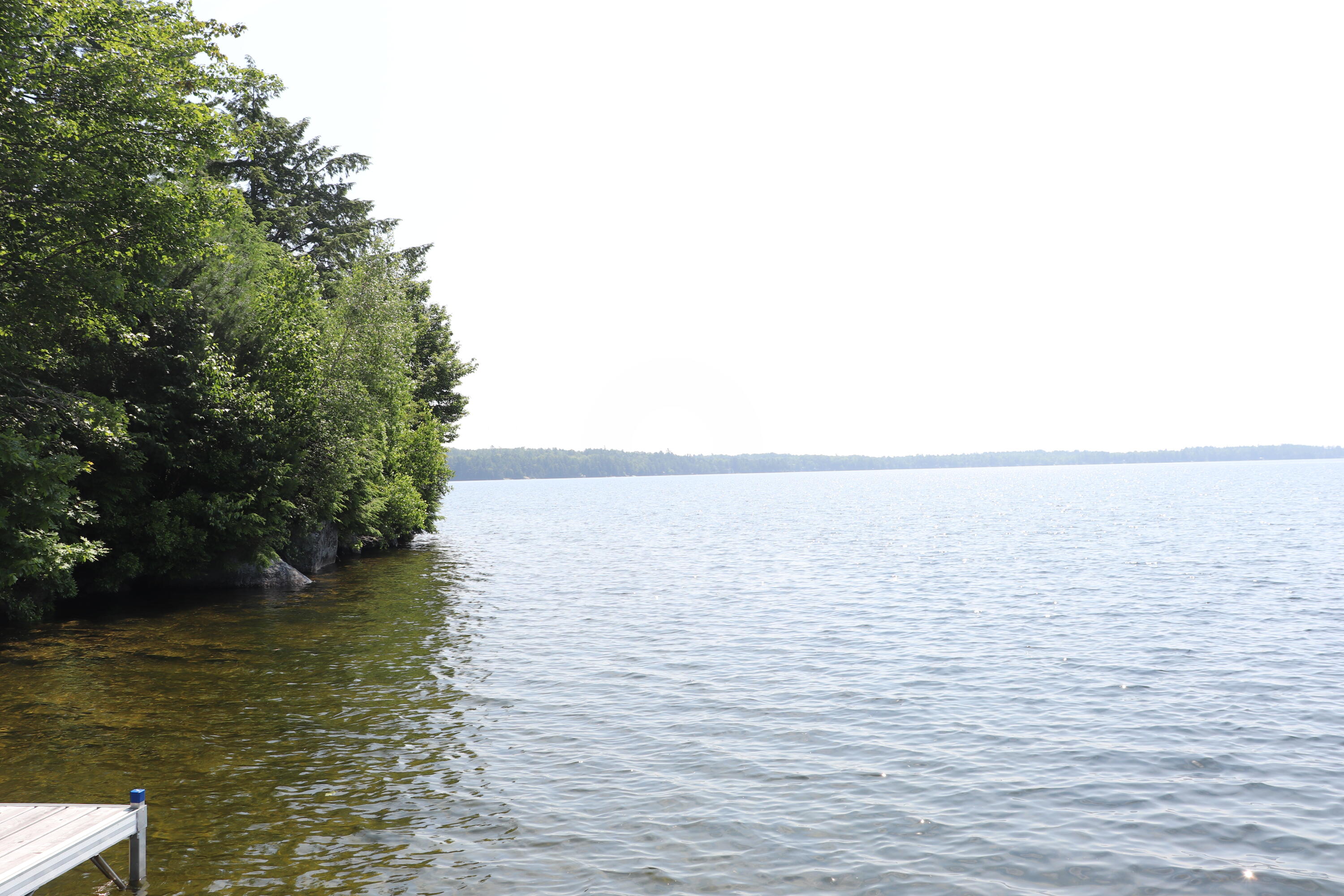 451 Point Road Ellsworth, ME 04605 - Photo 11 of 53 IMG_6416