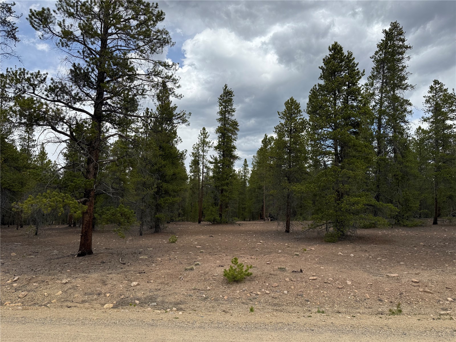 201 Snowshoe Rabbit Drive Leadville, CO 80461 - Photo 13 of 17