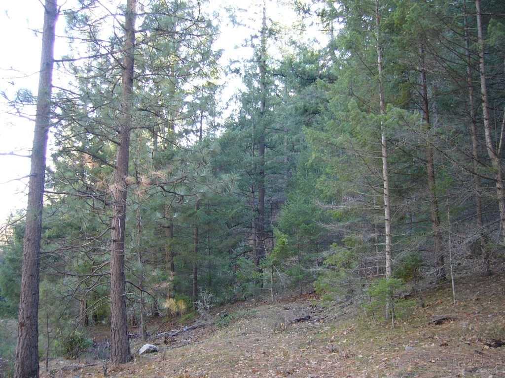 20 Acres Scarface Road Gazelle, CA 96034 - Photo 33 of 34 Gallery Image 33