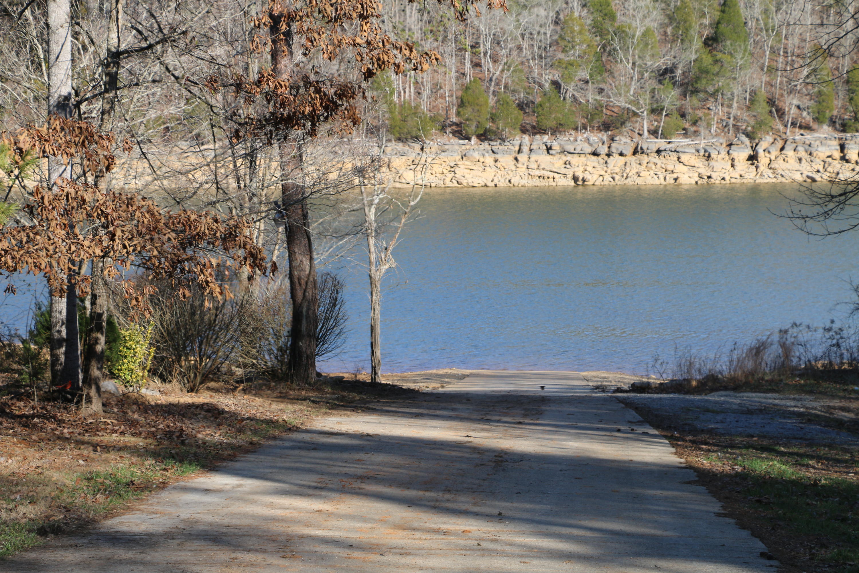 590 East Norris Point Road La Follette, TN 37766 - Photo 34 of 34 35