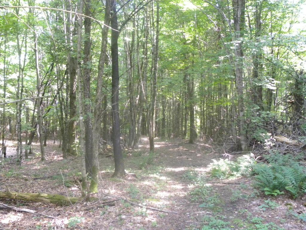 Cotton Road, Unit 8 Lyndonville, VT 05851 - Photo 3 of 3 Gallery Image 3
