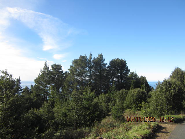 2715 Toth Road Shelter Cove, CA 95589 - Photo 9 of 27 IMG_0758