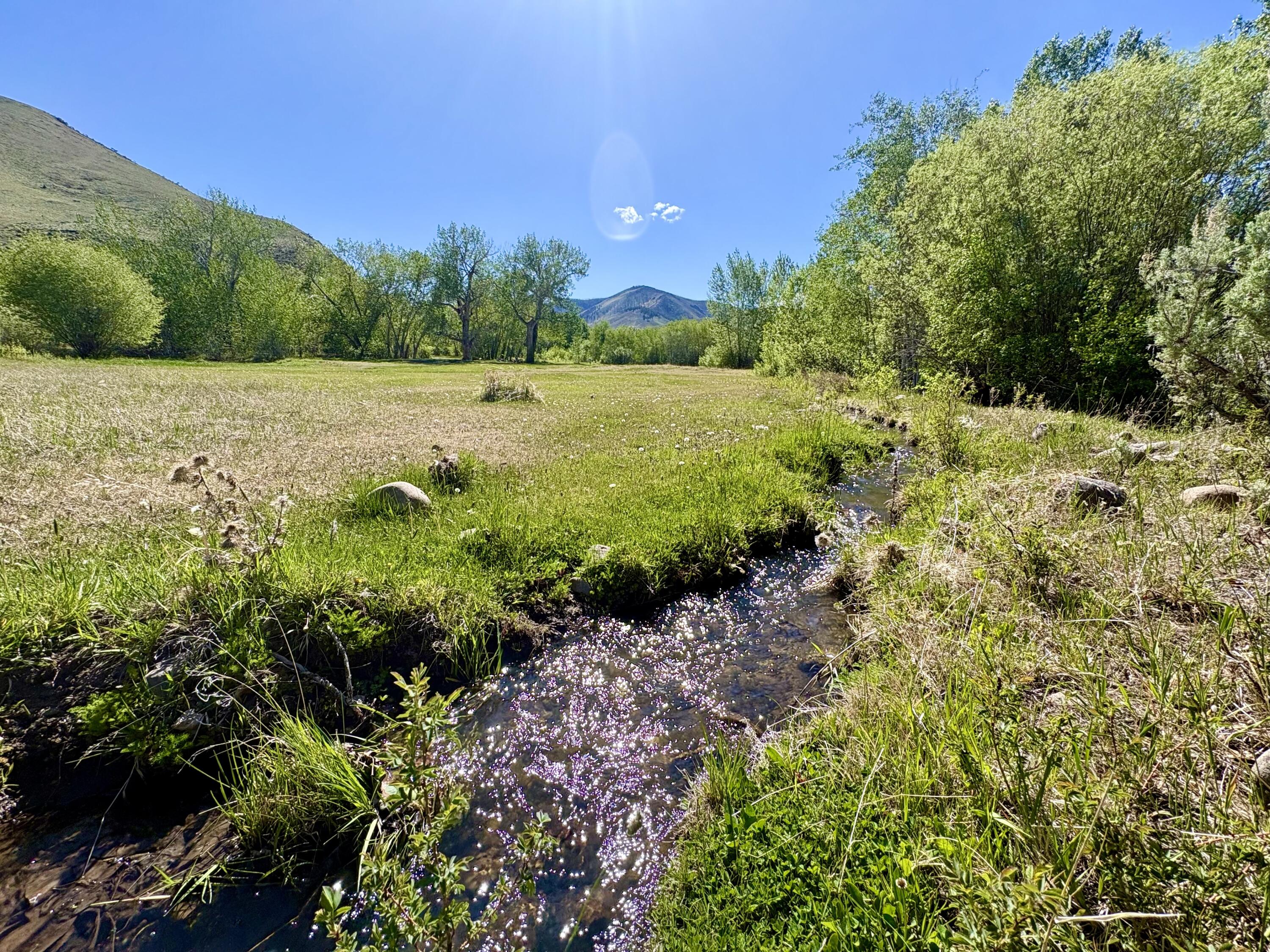 9885 Challis Creek Road Challis, ID 83226 - Photo 54 of 61 9885 Challis Creek Rd, Challis