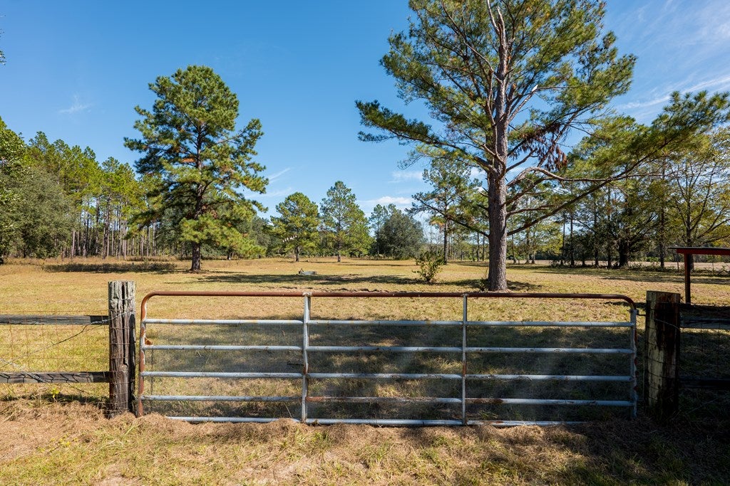 6803 George Road East Lake Park, GA 31636 - Photo 42 of 61 Gallery Image 42
