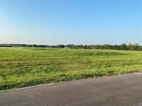 $169,900 | Lot 20 Buddy Gore Road, Gonzales, LA 70737