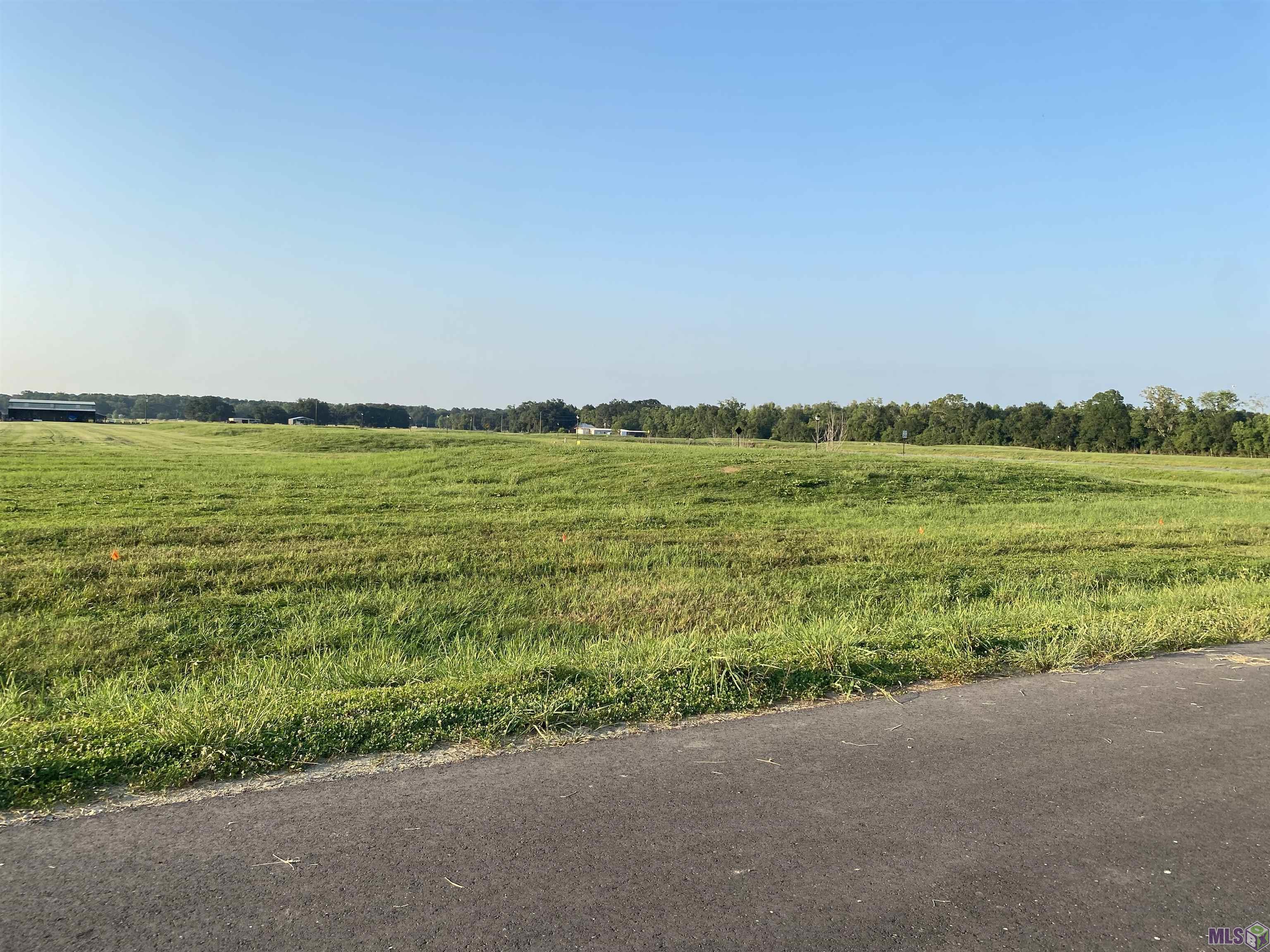 Lot 20 Buddy Gore Road Gonzales, LA 70737 - Photo 3 of 8